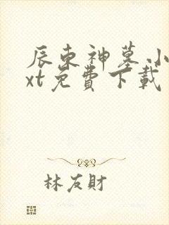 辰东神墓小说txt免费下载