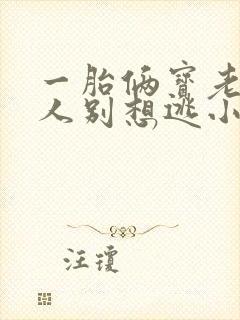 一胎俩宝老婆大人别想逃小说全文免费阅读