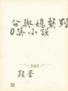 公与媳系列100集小说