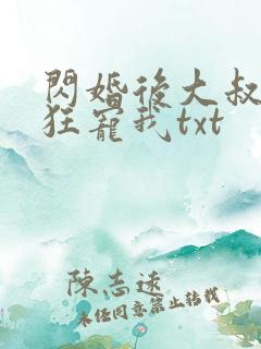 闪婚后大叔每天狂宠我txt