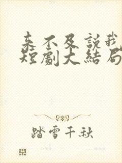 来不及说我爱你短剧大结局
