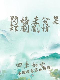 闪婚老公是豪门短剧剧情