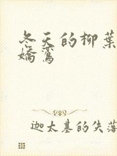 冬天的柳叶小说娇鸾