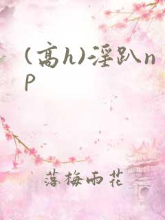 (高h)淫趴np