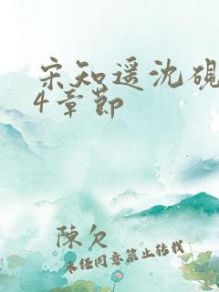 宋知遥沈砚辞24章节