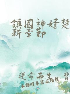 镇国神婿楚尘最新章节