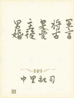 男主是将军的先婚后爱古言