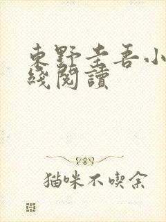 东野圭吾小说在线阅读