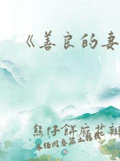 《善良的妻子》