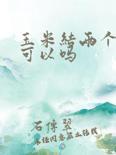 玉米结两个棒子可以吗