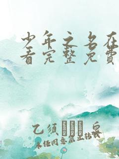 少年之名在线观看完整免费高清