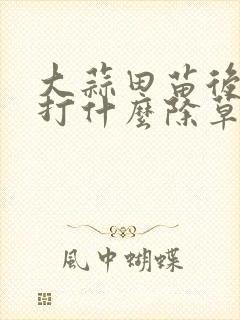 大蒜田苗后除草打什么除草剂
