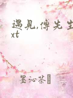 遇见,傅先生txt