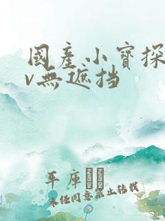 国产小宝探花av无遮挡