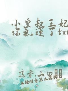 小皇叔王妃又薅你气运了txt下载