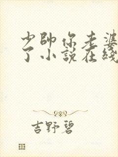 少帅你老婆又跑了小说在线收听