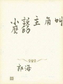 小说主角叫沈什么的