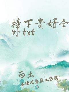榜下贵婿全文番外txt