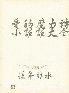 爱的魔力转圈圈小说说大全笔趣