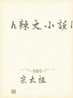 h辣文小说网