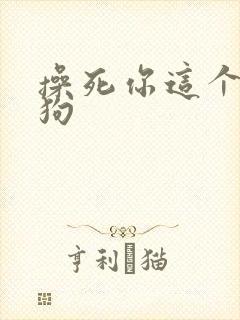 操死你这个骚母狗