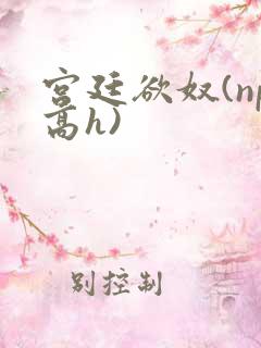 宫廷欲奴(np高h)