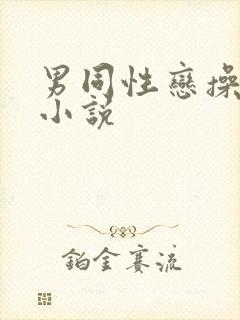 男同性恋操屁眼小说