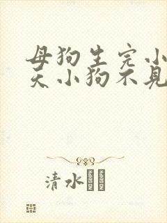 母狗生完小狗二天小狗不见了怎么办
