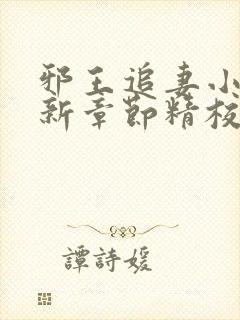 邪王追妻小说最新章节精校版