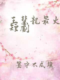 王慧龙最火十部短剧
