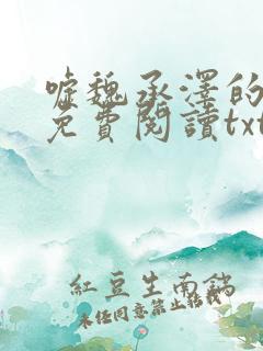嘘魏承泽的小说免费阅读txt