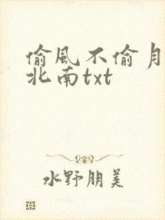 偷风不偷月by北南txt
