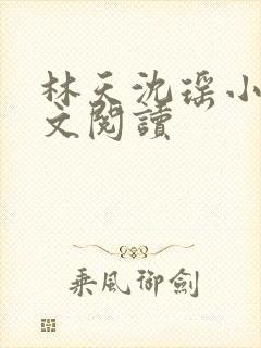 林天沈瑶小说全文阅读