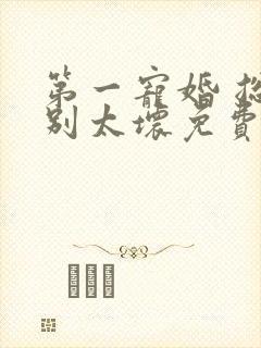 第一宠婚 总裁别太坏免费阅读