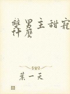 双男主甜宠文是什么