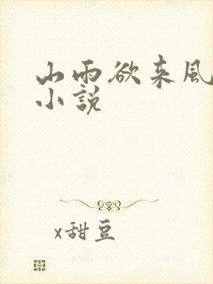 山雨欲来风满楼小说