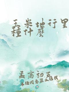 玉米地行里适合种什么