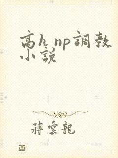 高h np调教小说