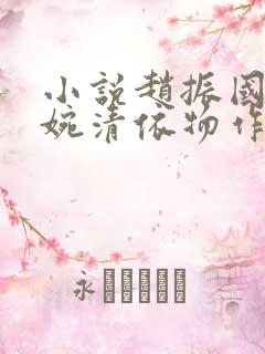 小说赵振国,宋婉清依物作生