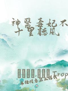 神医毒妃不好惹 十里听风