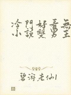 冷门好看无限流小说双男主