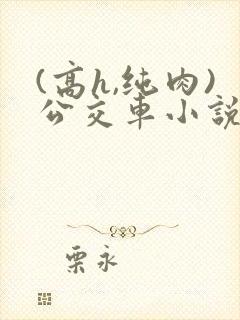 (高h,纯肉)公交车小说