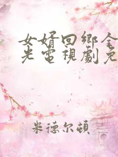 女婿回乡全村风光电视剧免费播放