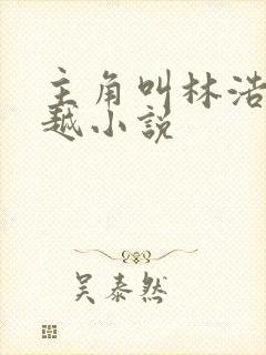 主角叫林浩的穿越小说