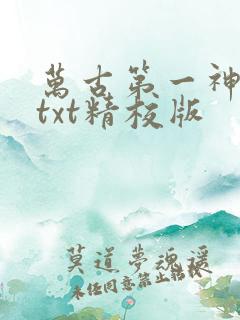 万古第一神小说txt精校版