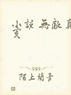 小说 无敌真寂寞