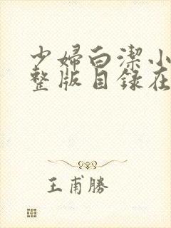 少妇白洁小说完整版目录在线阅读免费