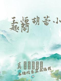 王恒胡蕾小说笔趣阁