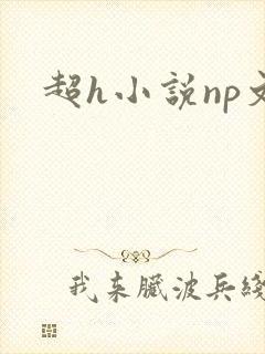 超h小说np文
