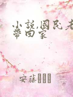 小说,国民老公带回家
